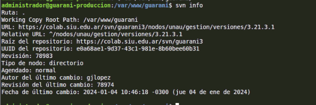 svninfo